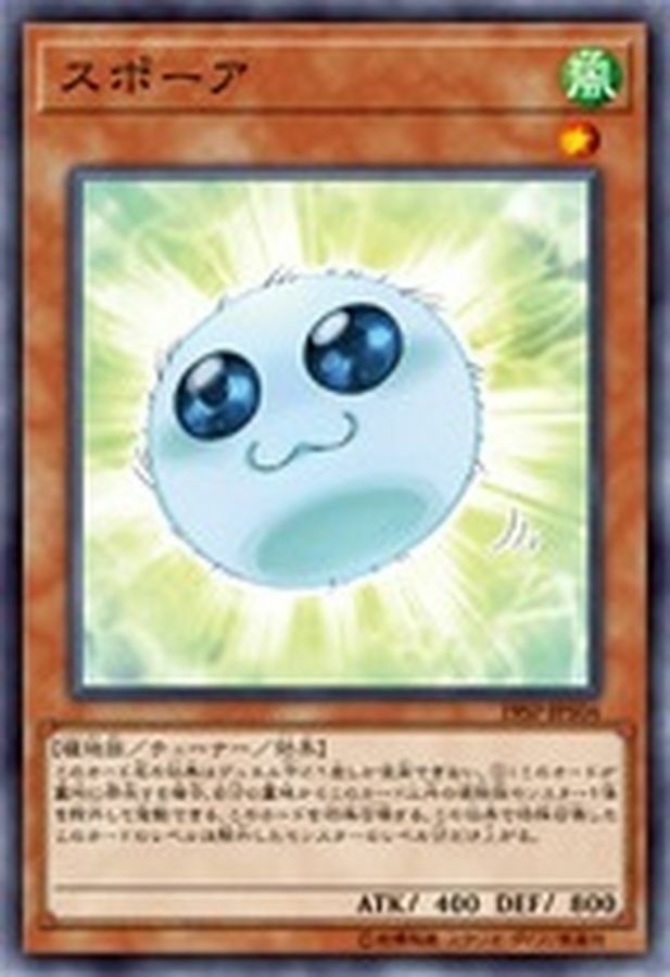 19SP-JP504 スポーア