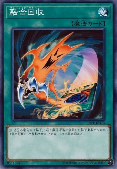 19TP-JP313 融合回収