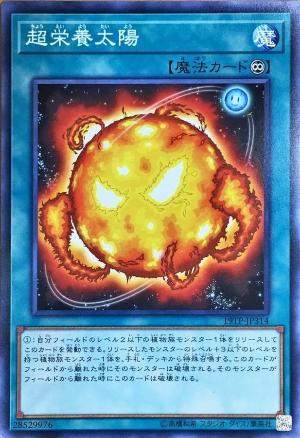 19TP-JP314 超栄養太陽