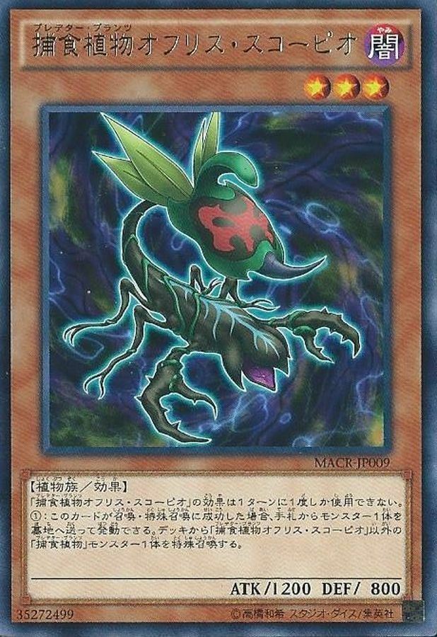 19TP-JP309 捕食植物オフリス・スコーピオ