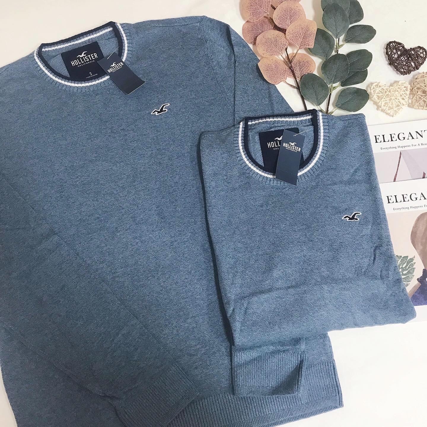 HOLLISTER SMALL LOGO JUMPER