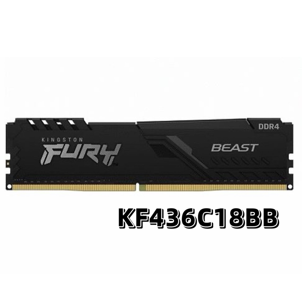 Kingston 金士頓 DDR4 3600 16GB / 32GB RAM 桌上型記憶體 (KF436C18BB)