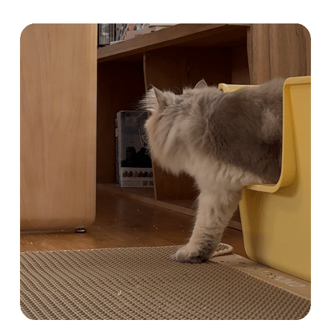 完美接住多餘貓砂