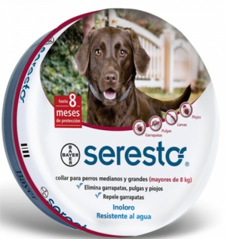 Bayer Seresto Large Dog Collar 殺蚤除牛蜱頸帶 8kg 以上(EXP:10/2024)