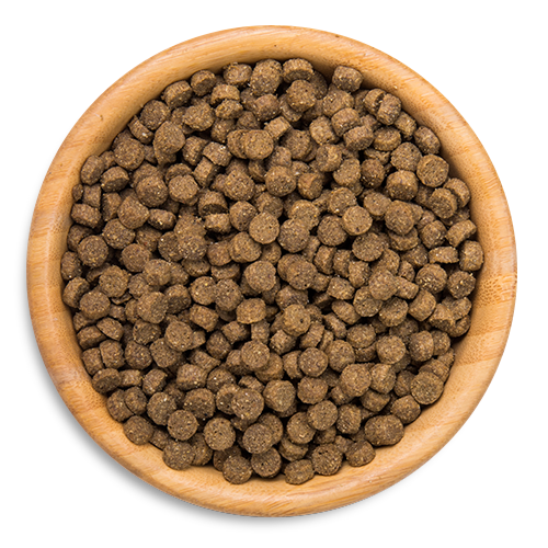 Kakato One 吞拿魚 (全期貓糧) - 2 KG