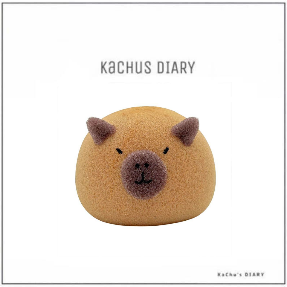 水豚君洗碗海綿