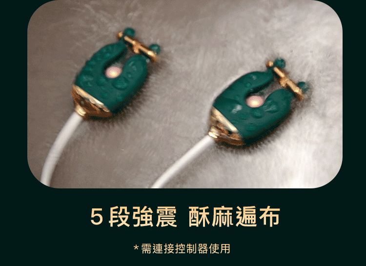 輕喃 qingnan,輕喃,qingnan,乳房按摩器,震動乳房按摩器套組,情趣用品,情趣玩具,角色扮演,BDSM