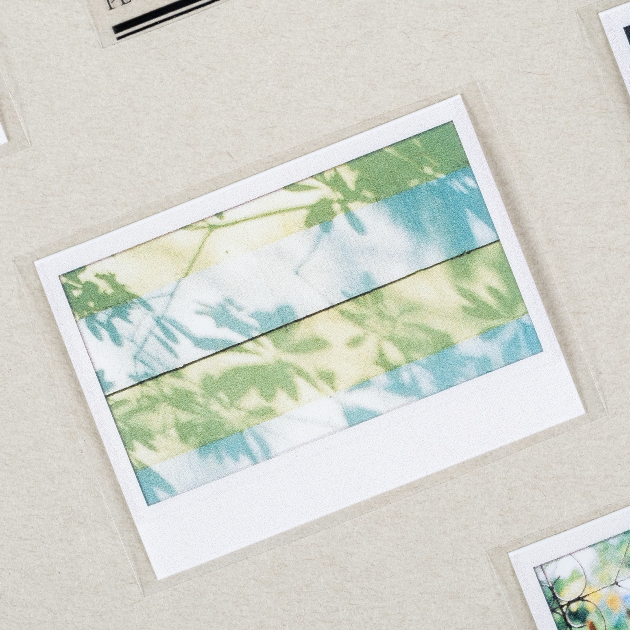 拍立得照片 VOL.02 pet /一分之一工作室