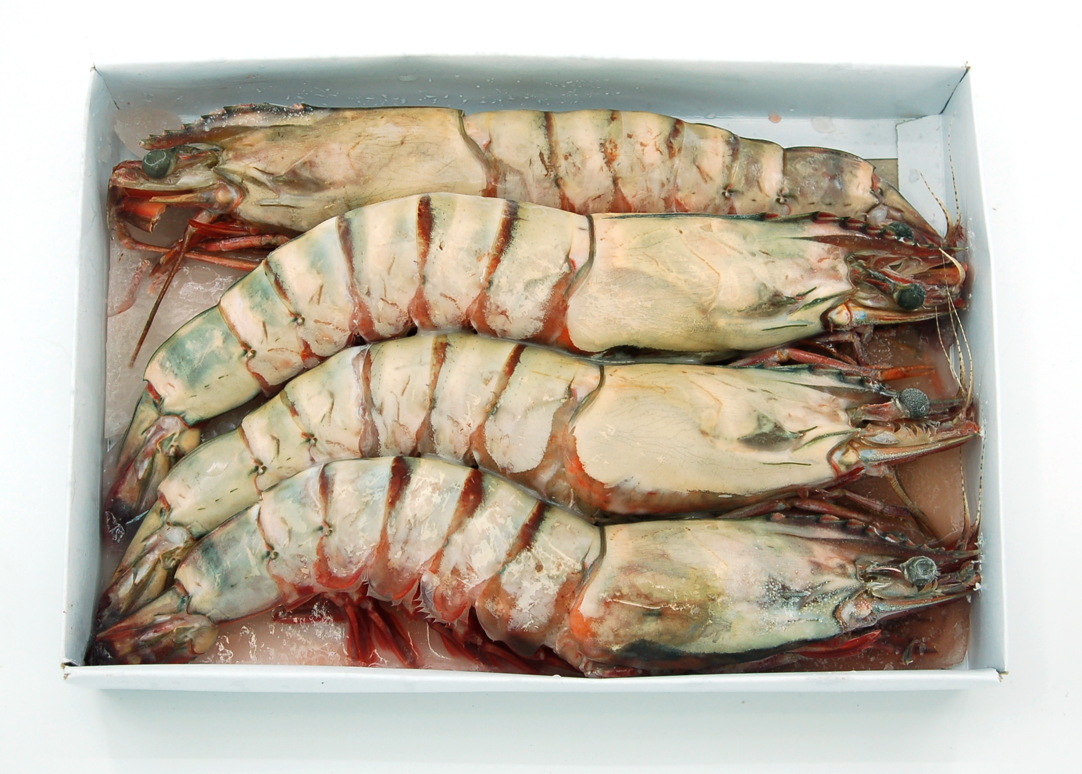 越南海虎蝦[4頭] 1kg/盒