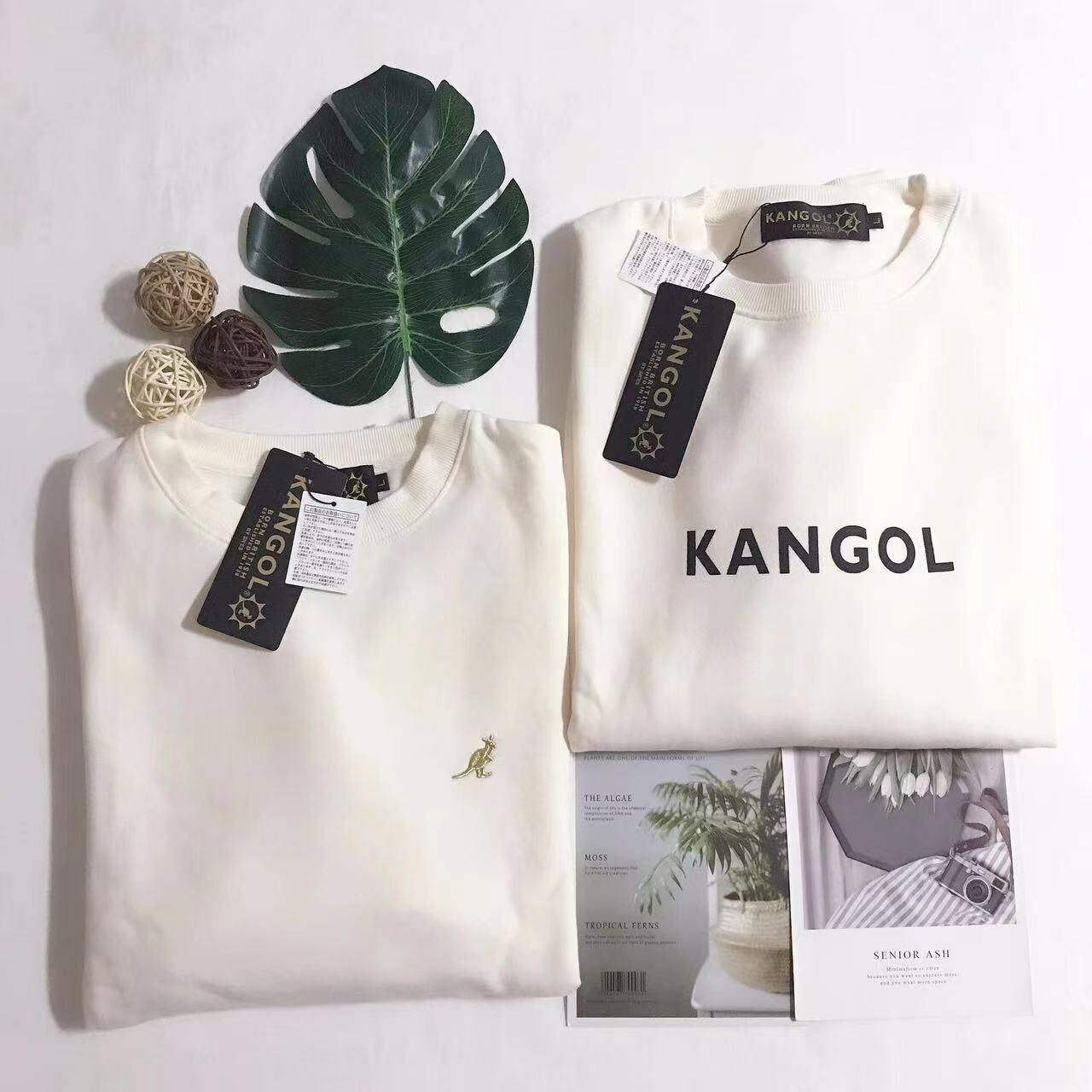🇯🇵日本代購KANGOL LOGO SWEATSHIRT