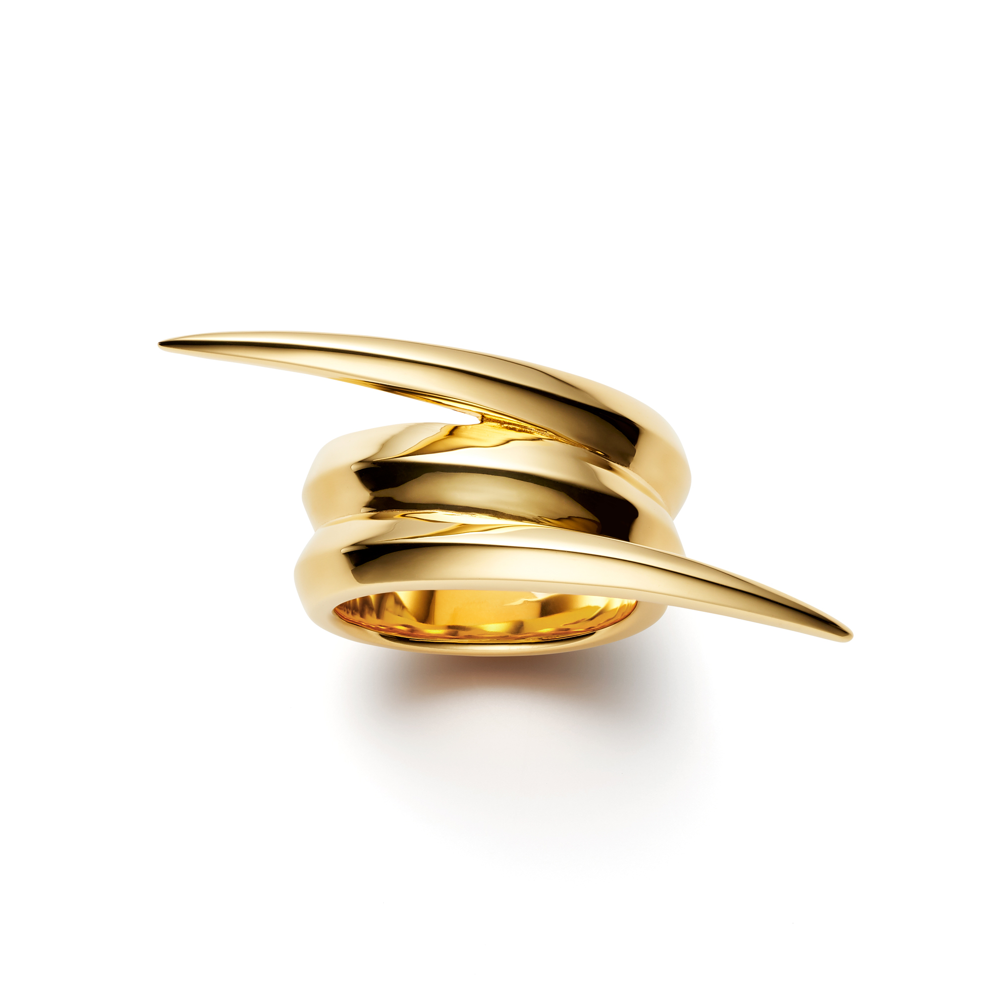 IMMORTAL POWER 戒指