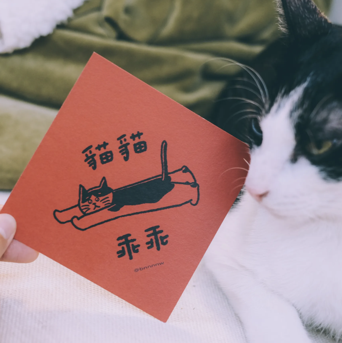 黑白小姐｜插畫手寫春聯卡片 - 貓貓乖乖