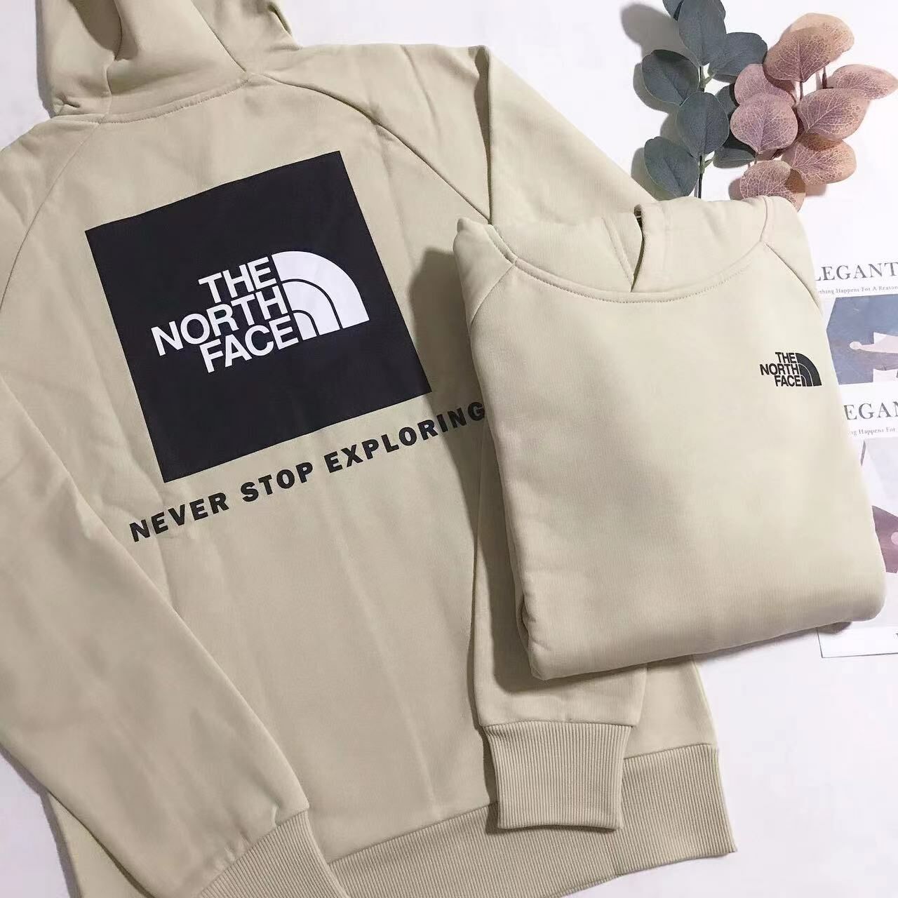 THE NORTH FACE BACK PRINT HOODIES