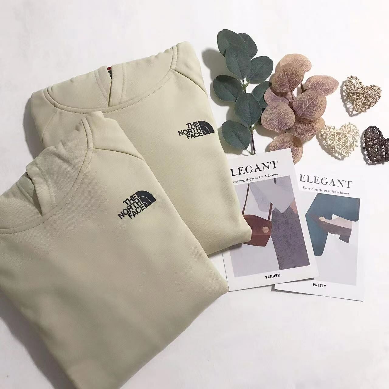 THE NORTH FACE BACK PRINT HOODIES