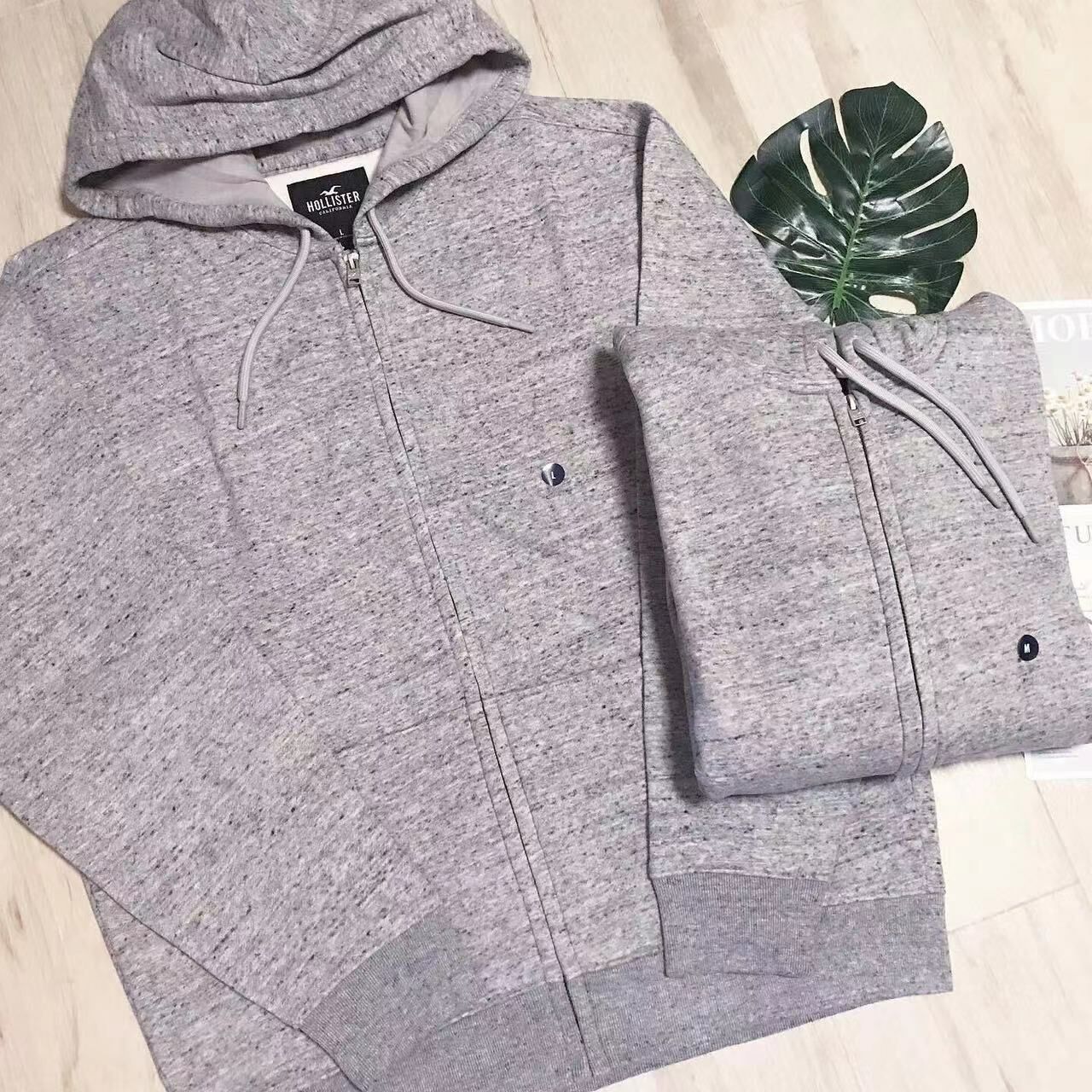 HOLLISTER SMALL LOGO ZIPUP