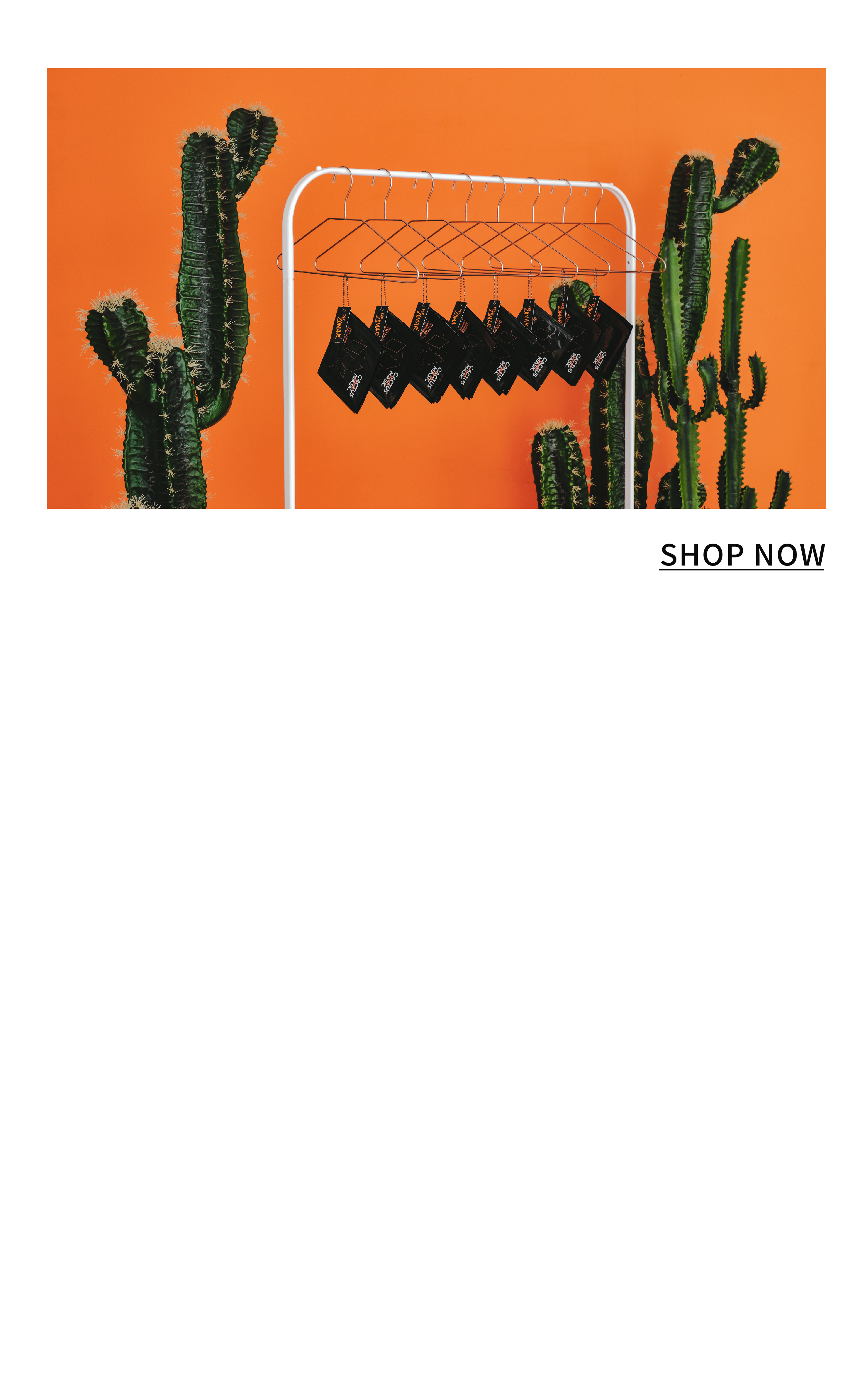 火掌植萃保濕面膜 CACTUS MASK