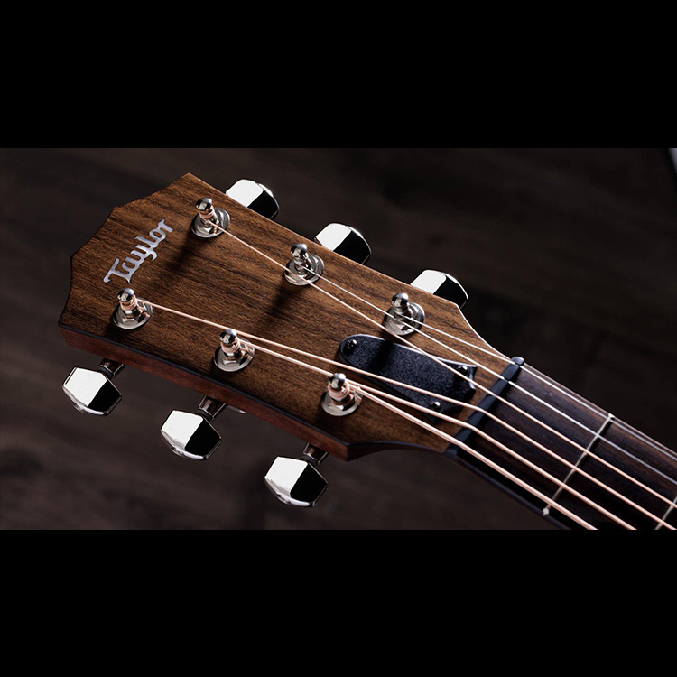 Taylor American Dream AD24ce 桃花心木 全單板 木吉他