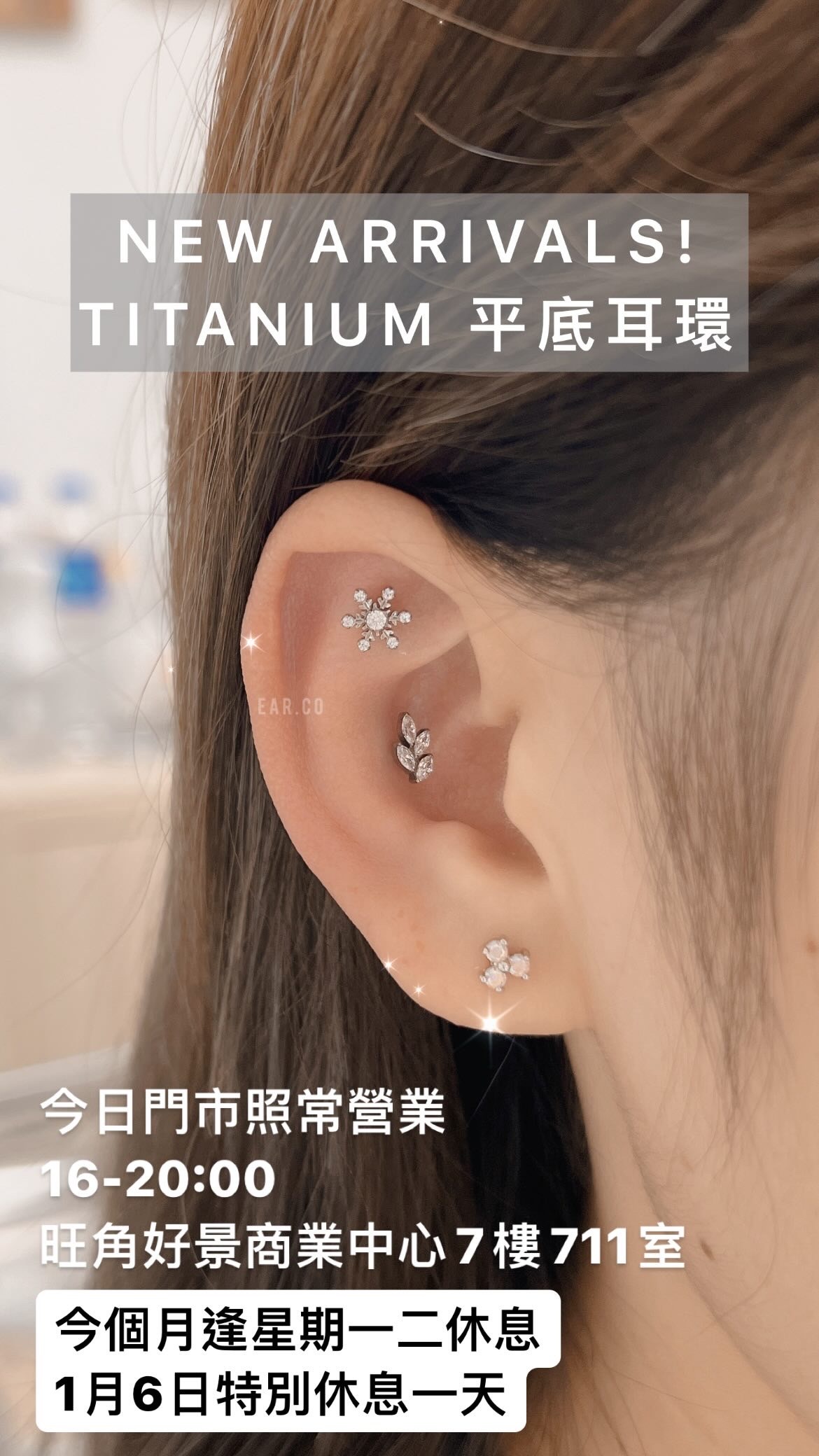 精緻閃石小雪花平頭耳門/耳珠/耳骨釘 [G23 Titanium] [單支]