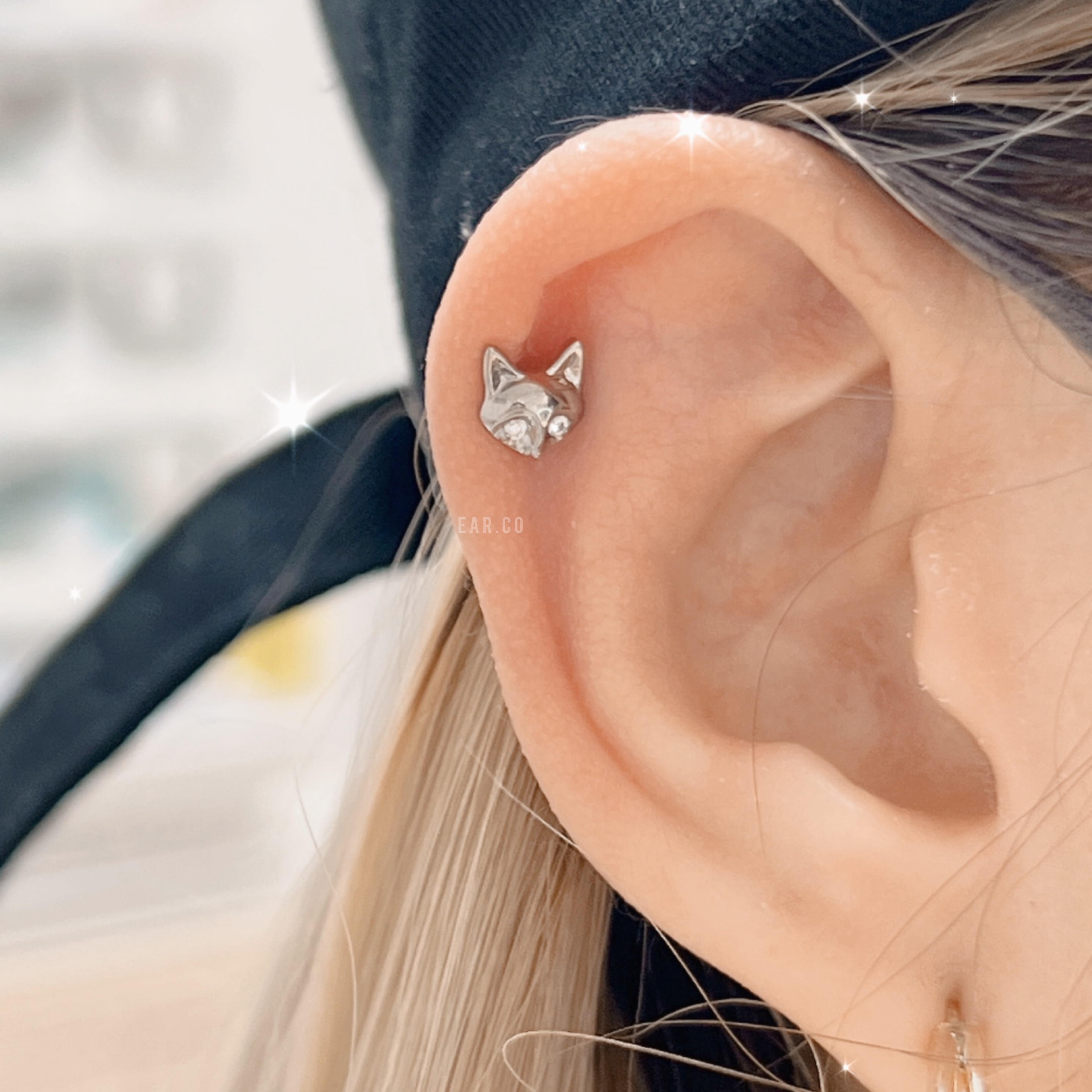 小狐狸平頭耳門/耳珠/耳骨釘 [G23 Titanium] [單支]