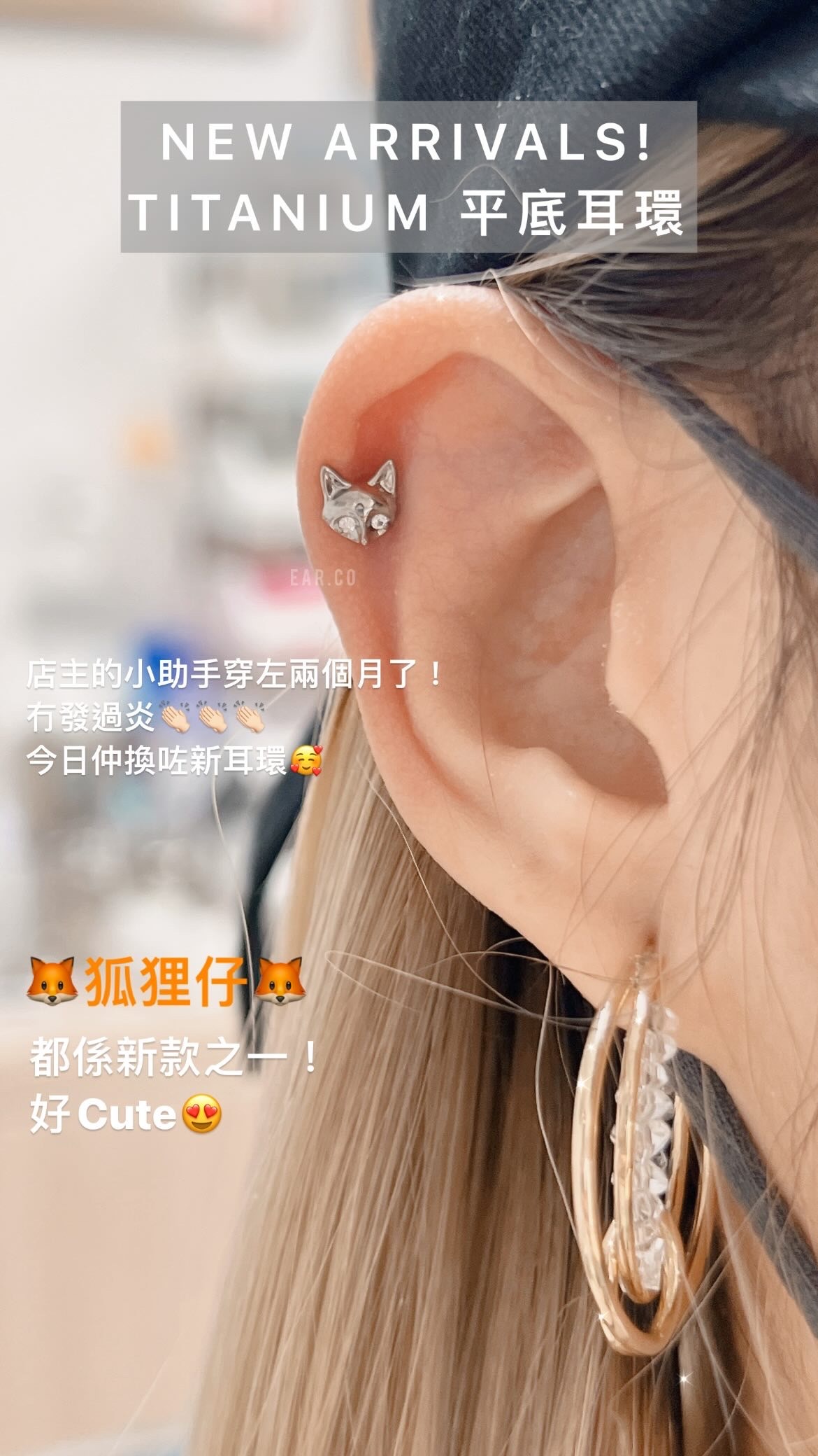 小狐狸平頭耳門/耳珠/耳骨釘 [G23 Titanium] [單支]