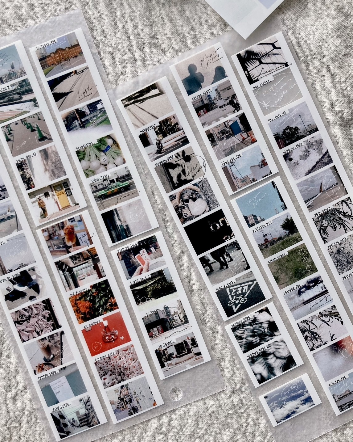 羊君．白日 2.5cm霧面PET膠帶 <整捲/分裝>