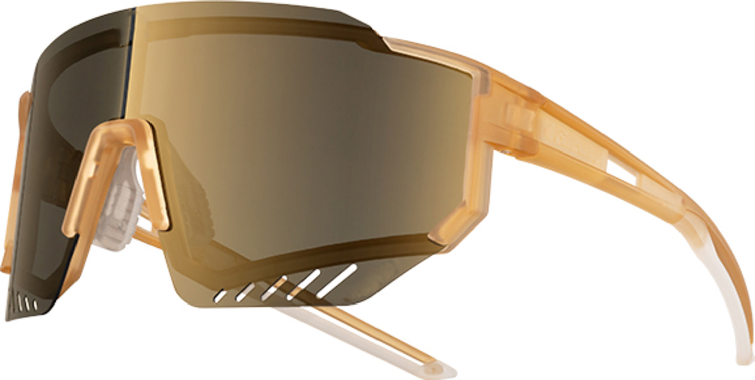 Giant 101AP Sunglass