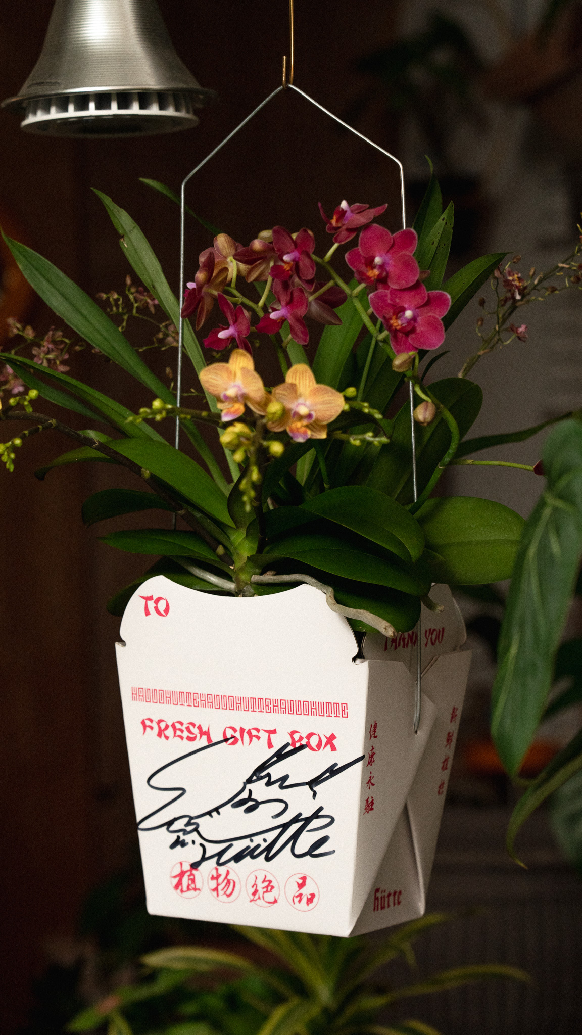 Orchid Gift Basin 季節蘭華雅盆中式餐盒