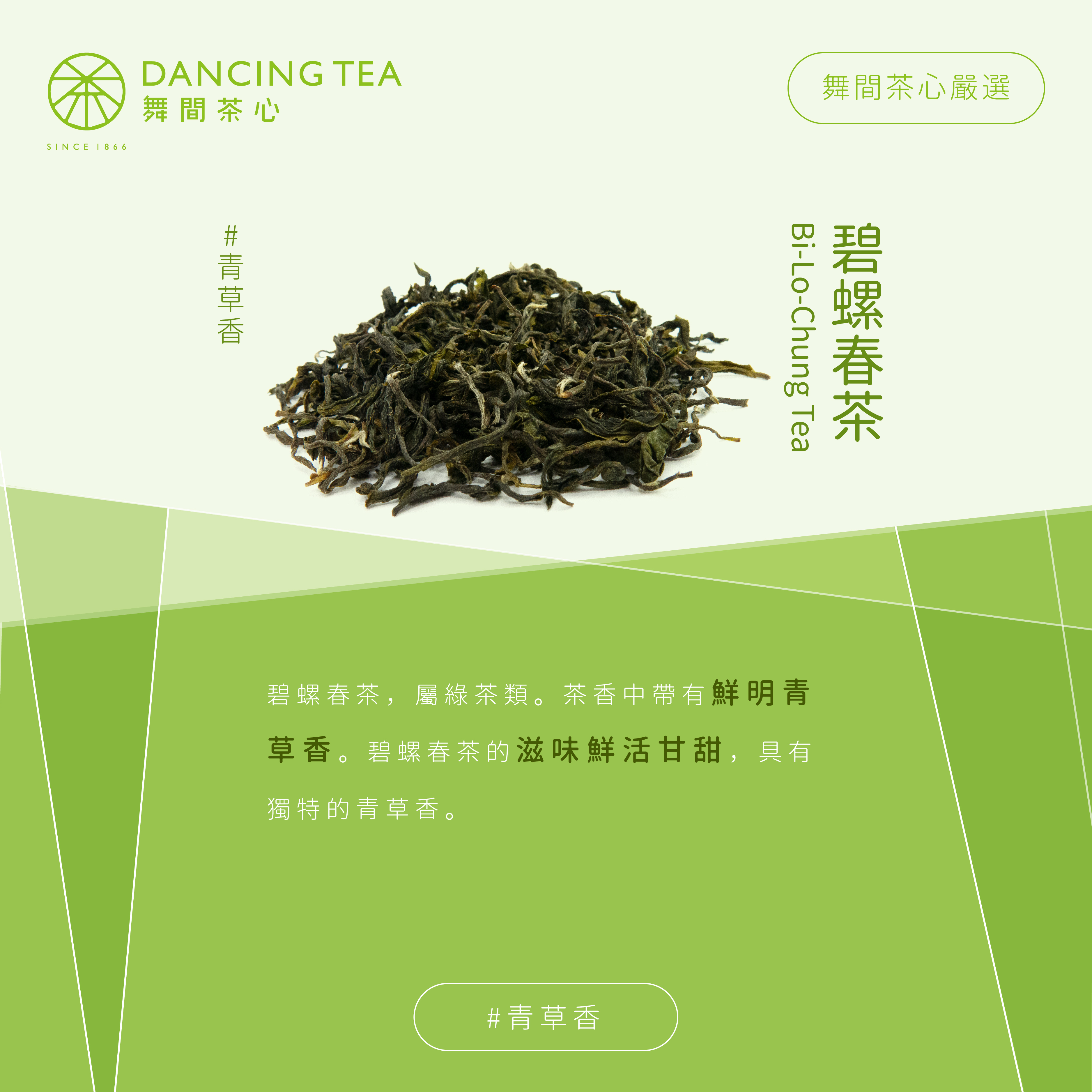 碧螺春茶