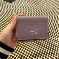 [S] COACH C0059 XGRN MN WALT ON CHN,SV/AMETHYST, 196395079346 (SCO641)