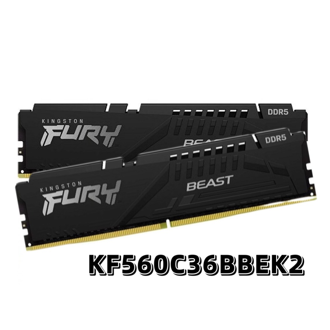 Kingston 金士頓 DDR5 6000 32GB / 64GB RAM 桌上型記憶體 (KF560C36BBEK2)