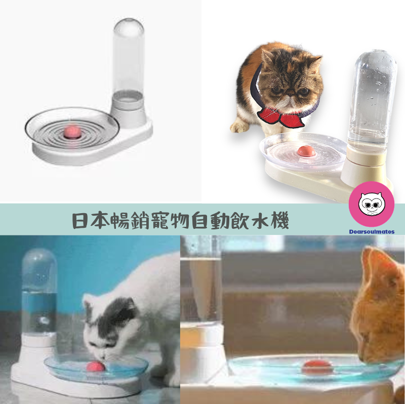 日本暢銷寵物自動飲水機|提升飲水量|貓狗適合|不需用電|【10/19 截單，預計 :10月尾至11月中發貨】
