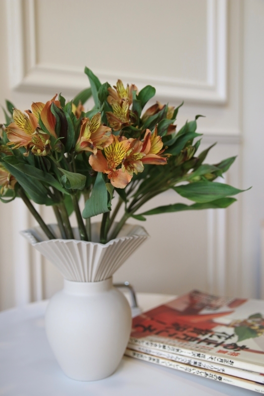 日本 HUNT9 Caccia9 Tiny Nove