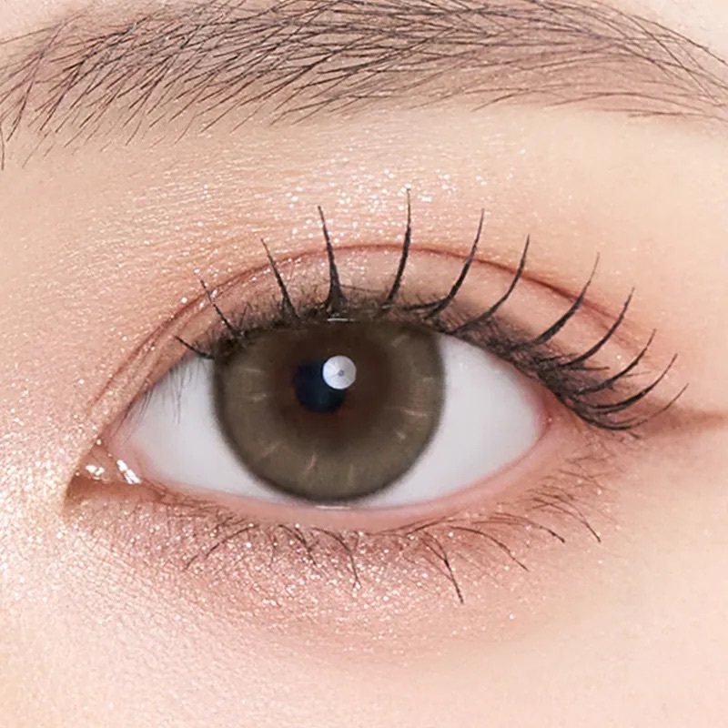 [日拋] Gemhour Lens Thetis 1 Day Brown 每日拋棄彩妝隱形眼鏡｜每盒10片