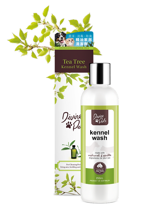 DivinePets 精油家居清潔劑