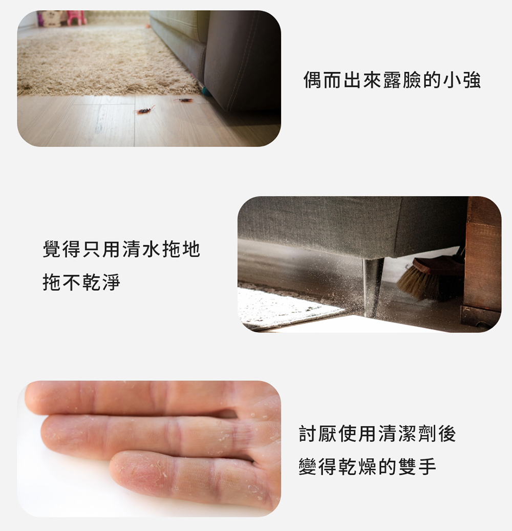 或是容易有蟑螂出現