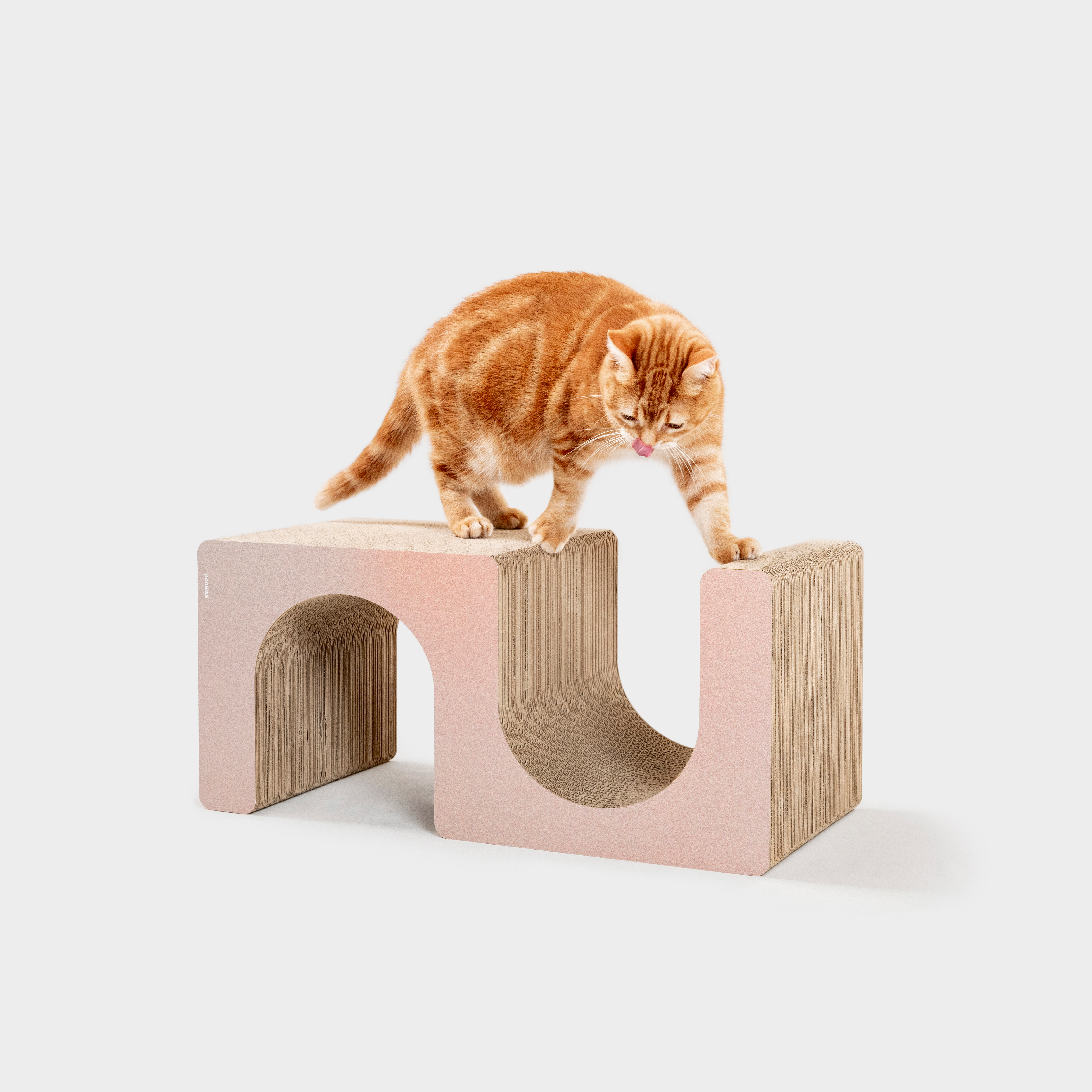 Ponwaa｜S型凹凹 (不含吐司磚)