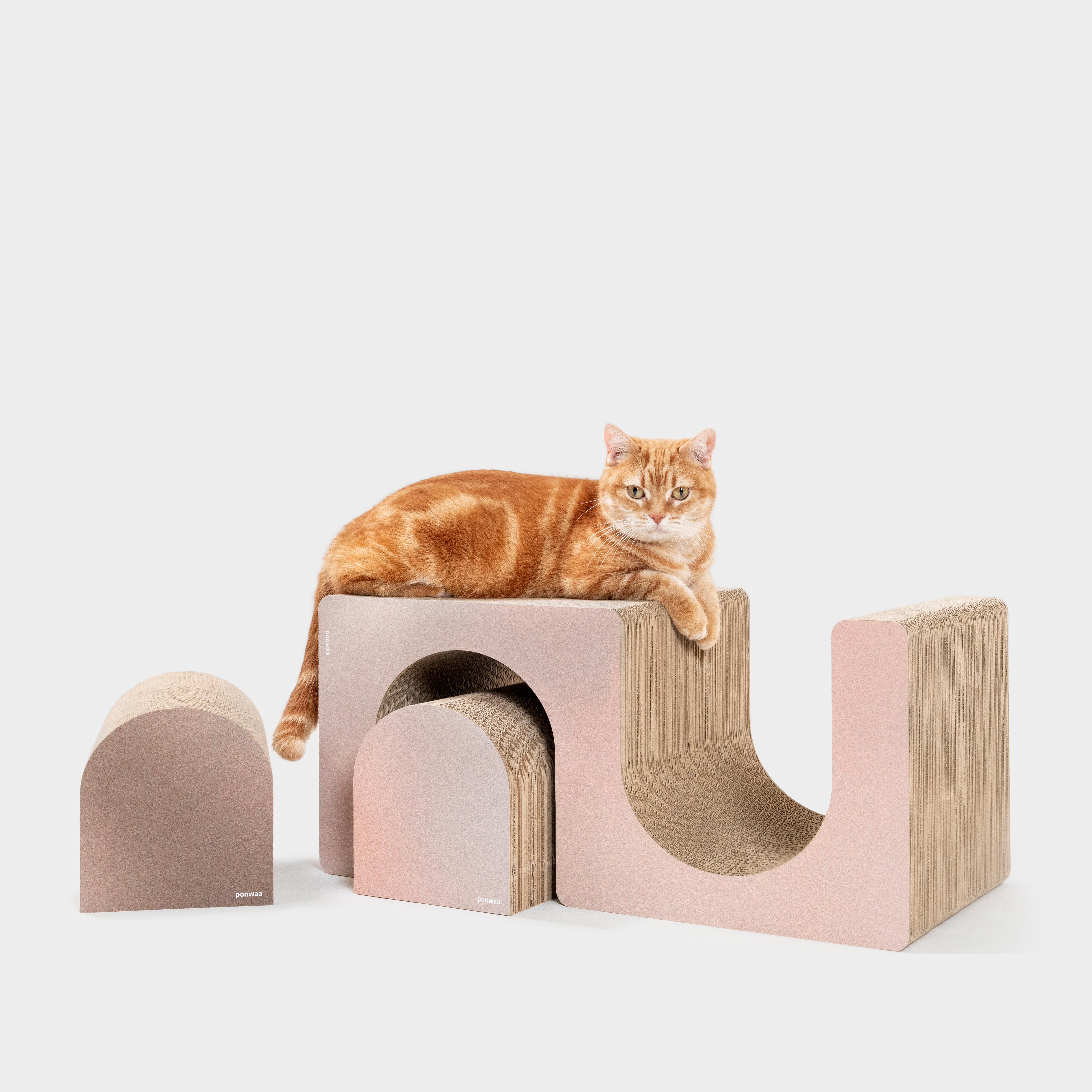 Ponwaa｜S型凹凹 (不含吐司磚)