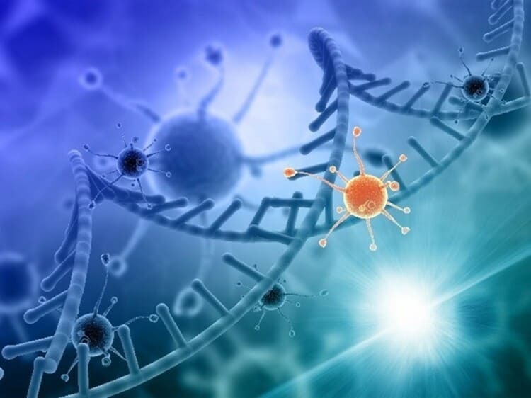 癌症家族史的遺傳基因