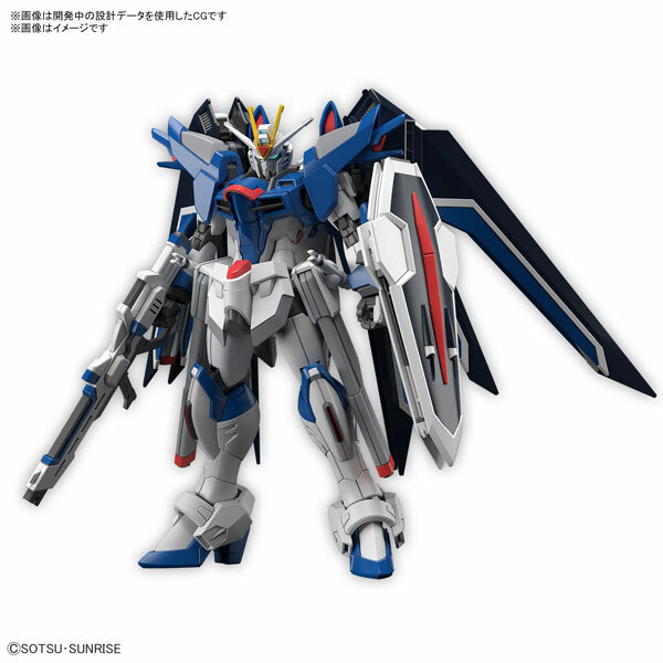 BANDAI 代理版 組裝模型 HG 1/144 振揚自由鋼彈