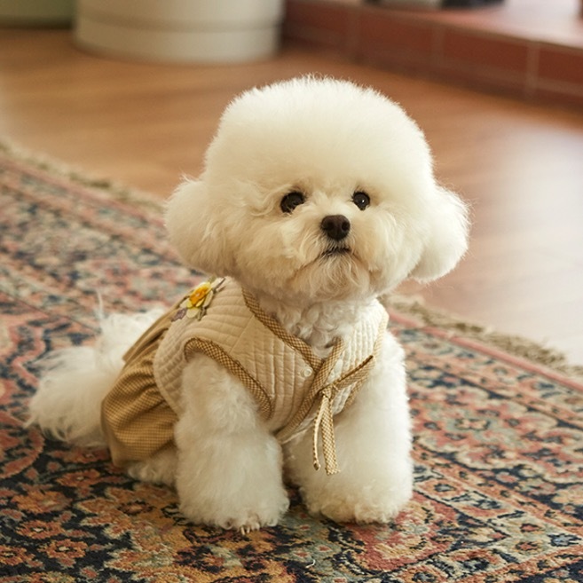 ba&ttang 絎縫桔梗韓服Hanbok