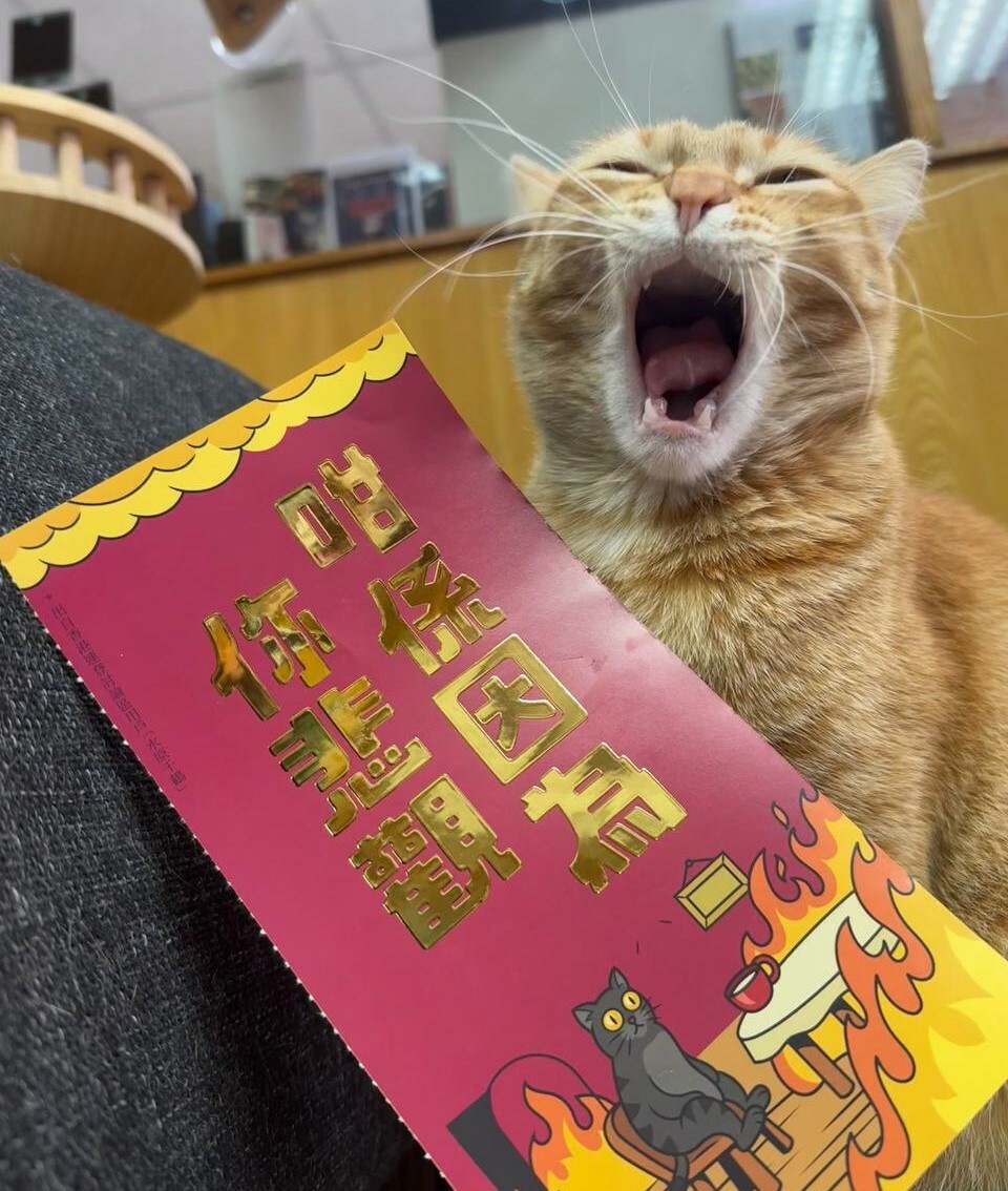 【獵人書店加印再加印！】夜繽紛揮春