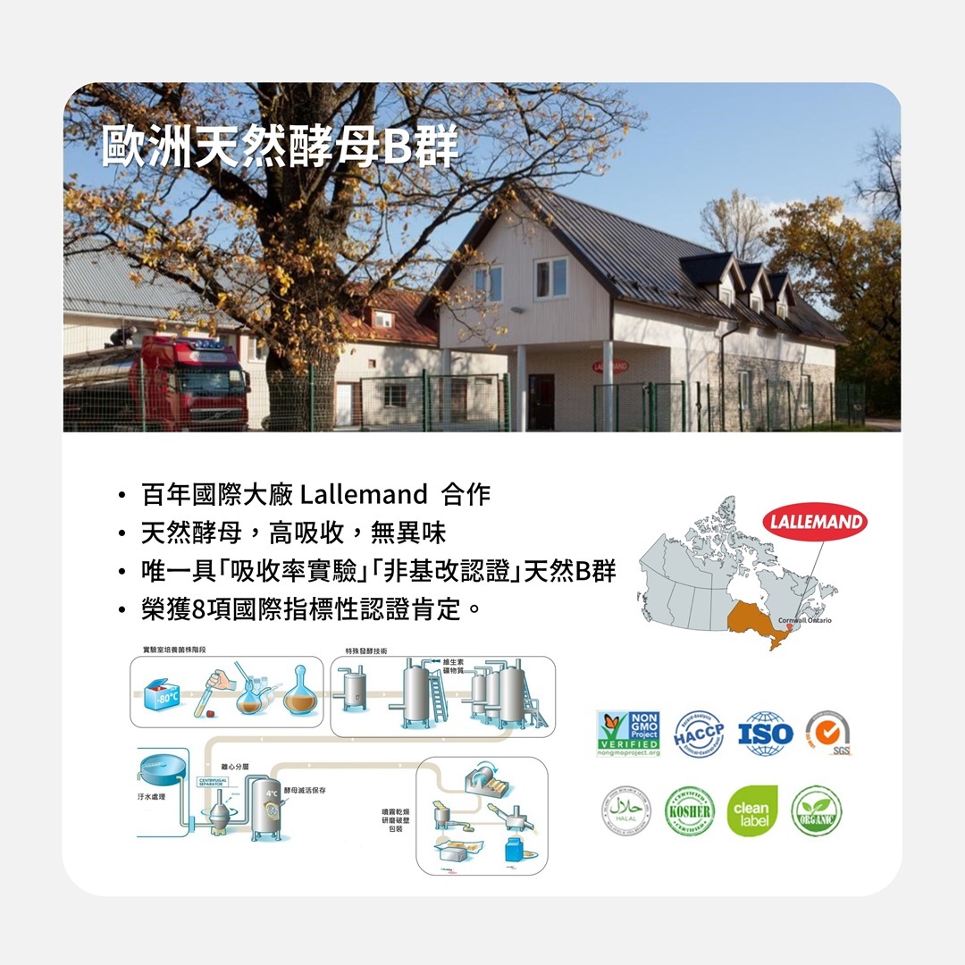 PVITA女子享孕綜合營養果凍，嚴選歐洲百年大廠Lallemand的專利天然酵母B群