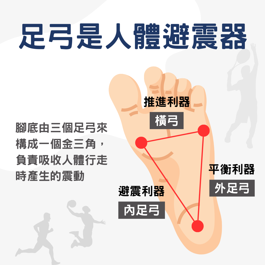 足弓是人體避震器