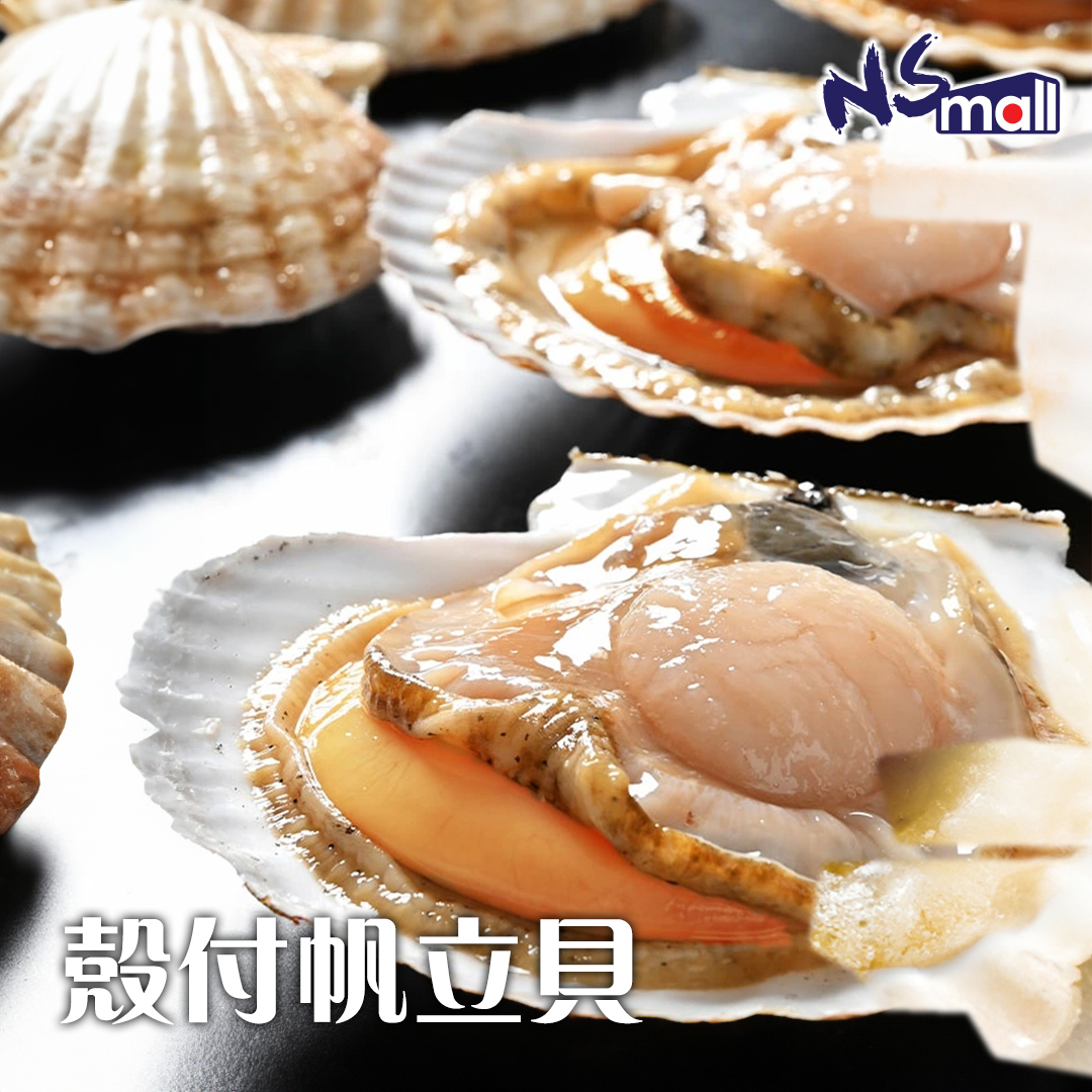 帆立貝(殼付) 約300g/隻