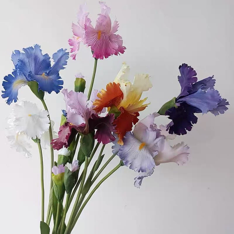 仿真愛麗絲鳶尾花