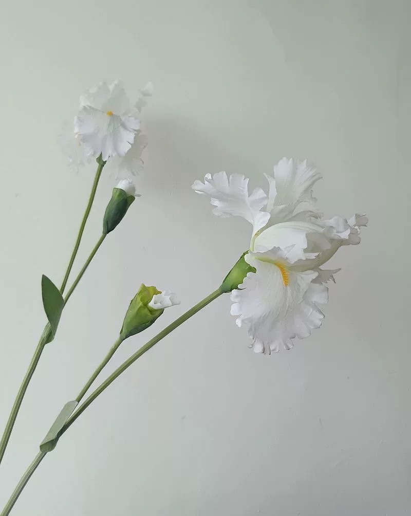 仿真愛麗絲鳶尾花