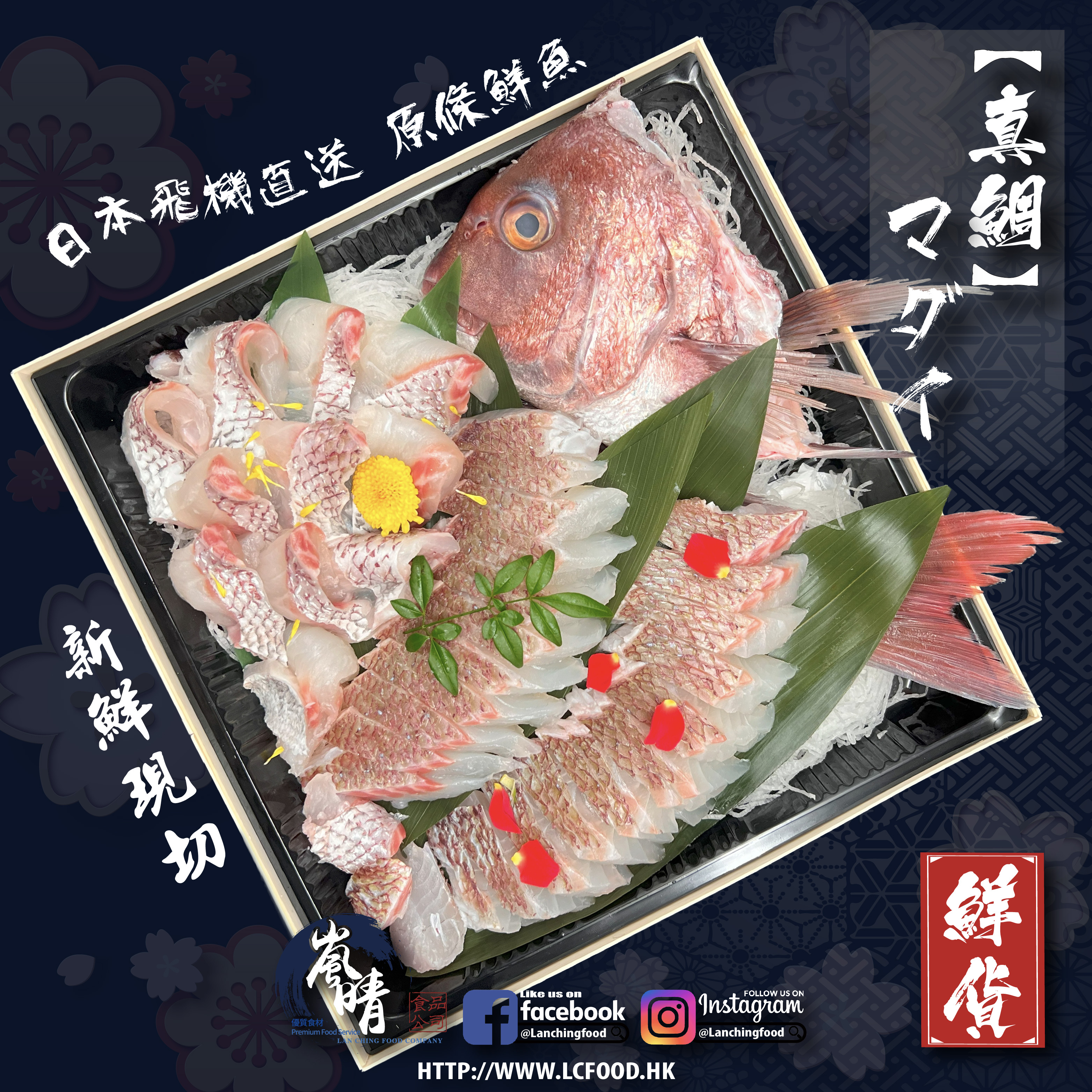 原條鮮魚-真鯛(約1.5-2kg)