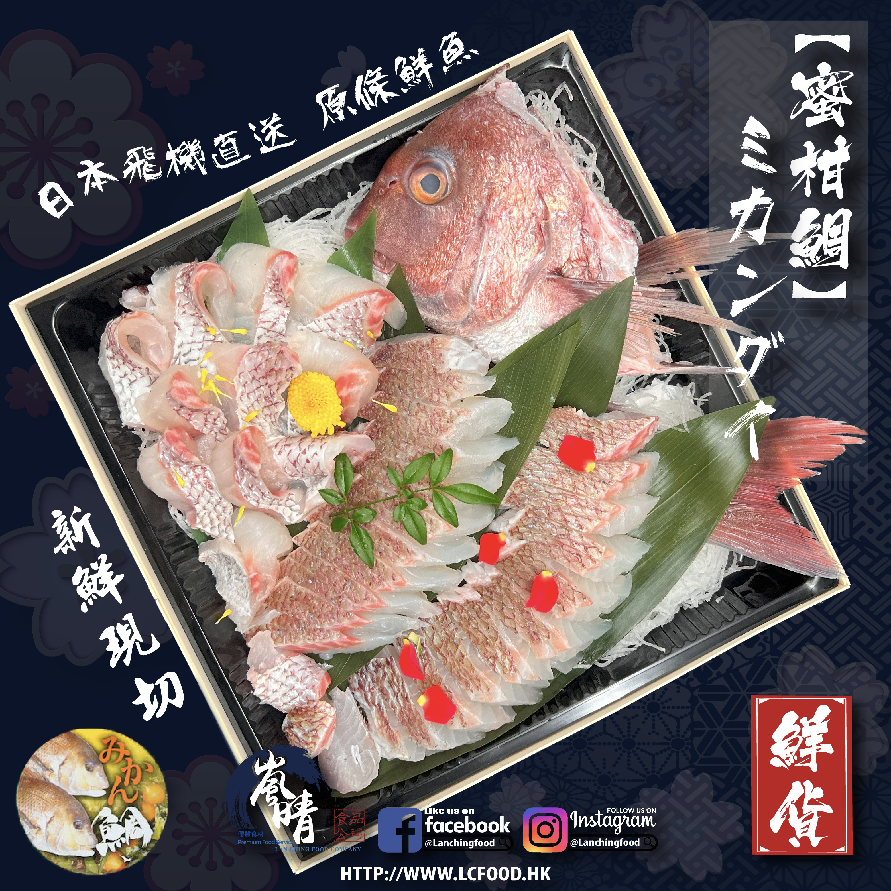 原條鮮魚-蜜柑鯛(約2kg)