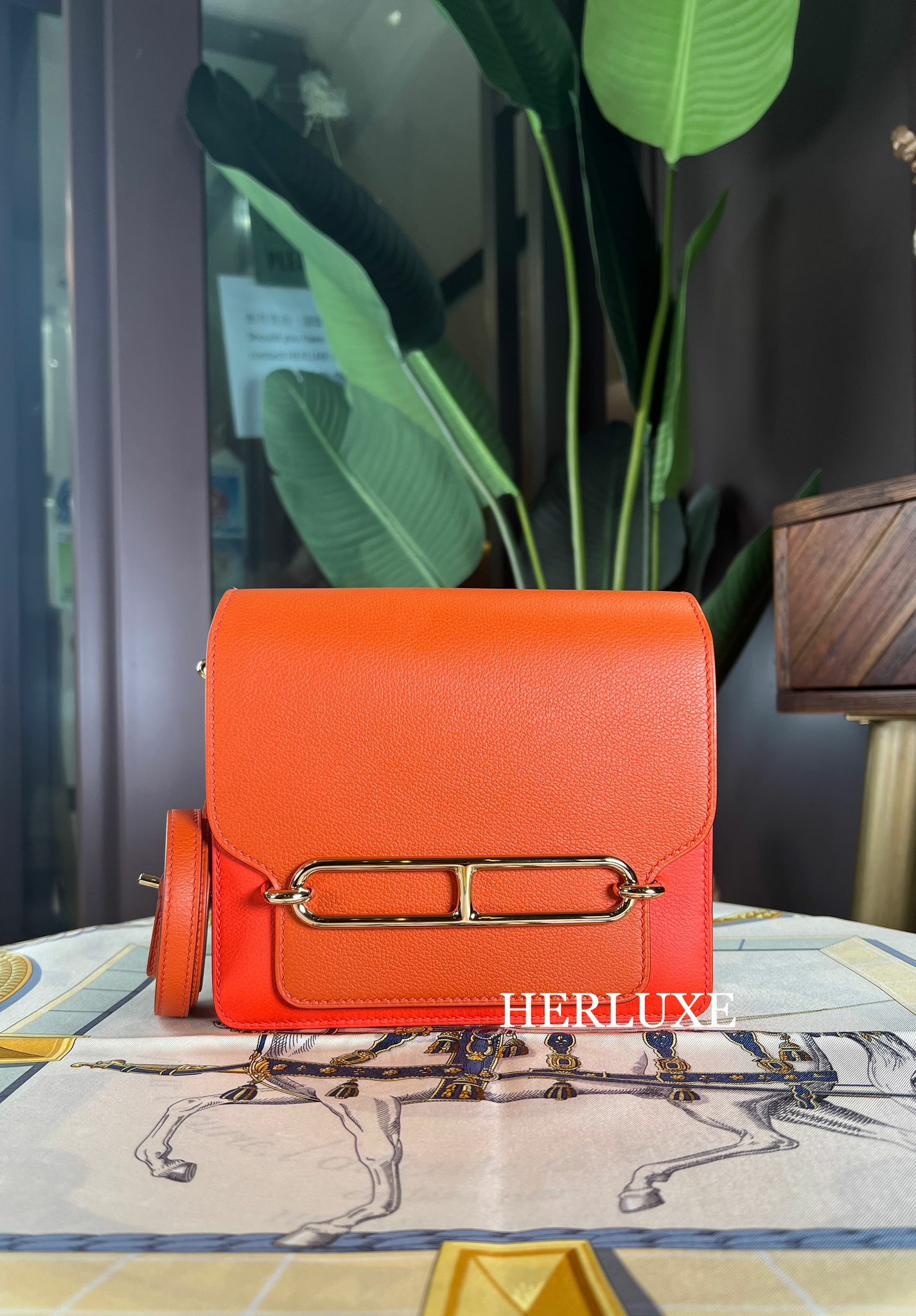 Roulis mini 9T capucine/R1 terre battue cp evercolor