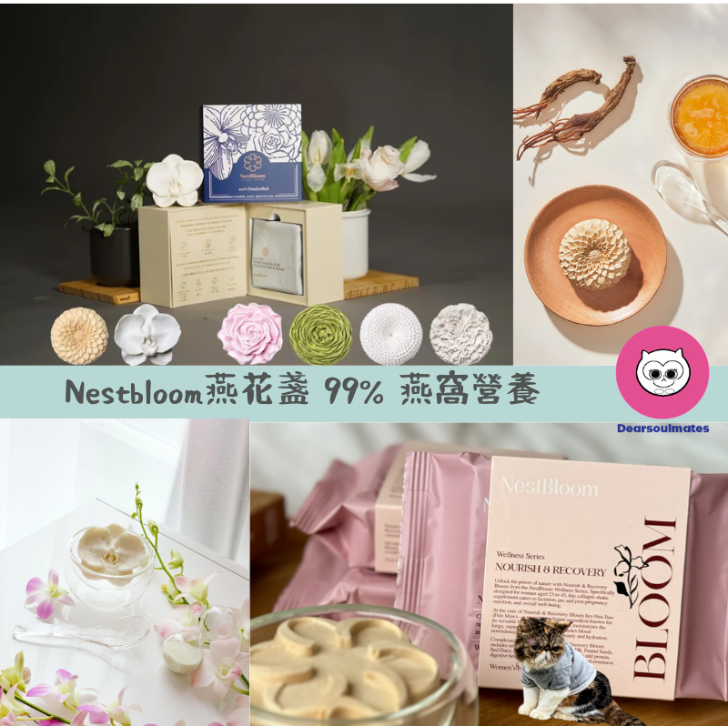 99% 燕窩營養都能保留在Nestbloom燕花盞【10/19 截單，預計 :10月尾至11月中發貨】]